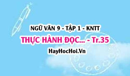 Soạn bài Thực hành đọc: Ngọc nữ về tay chân chủ trang 35 Ngữ văn lớp 9 tập 1 Kết nối tri thức